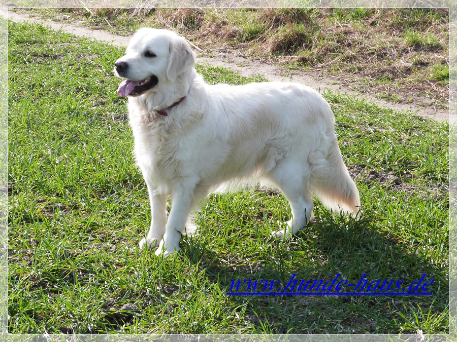 Omara huendin.jpg (124035 Byte)