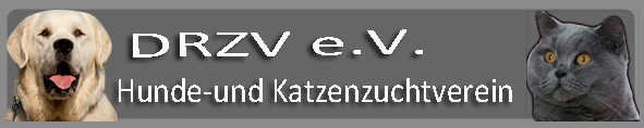 banner Liane.jpg (48701 Byte)